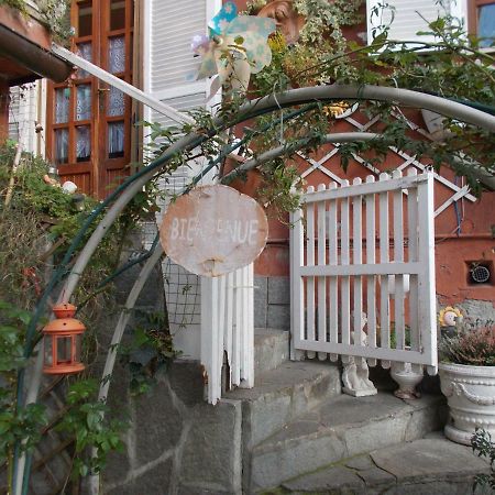 Il Granello Di Senape B&B Palazzo Canavese Luaran gambar