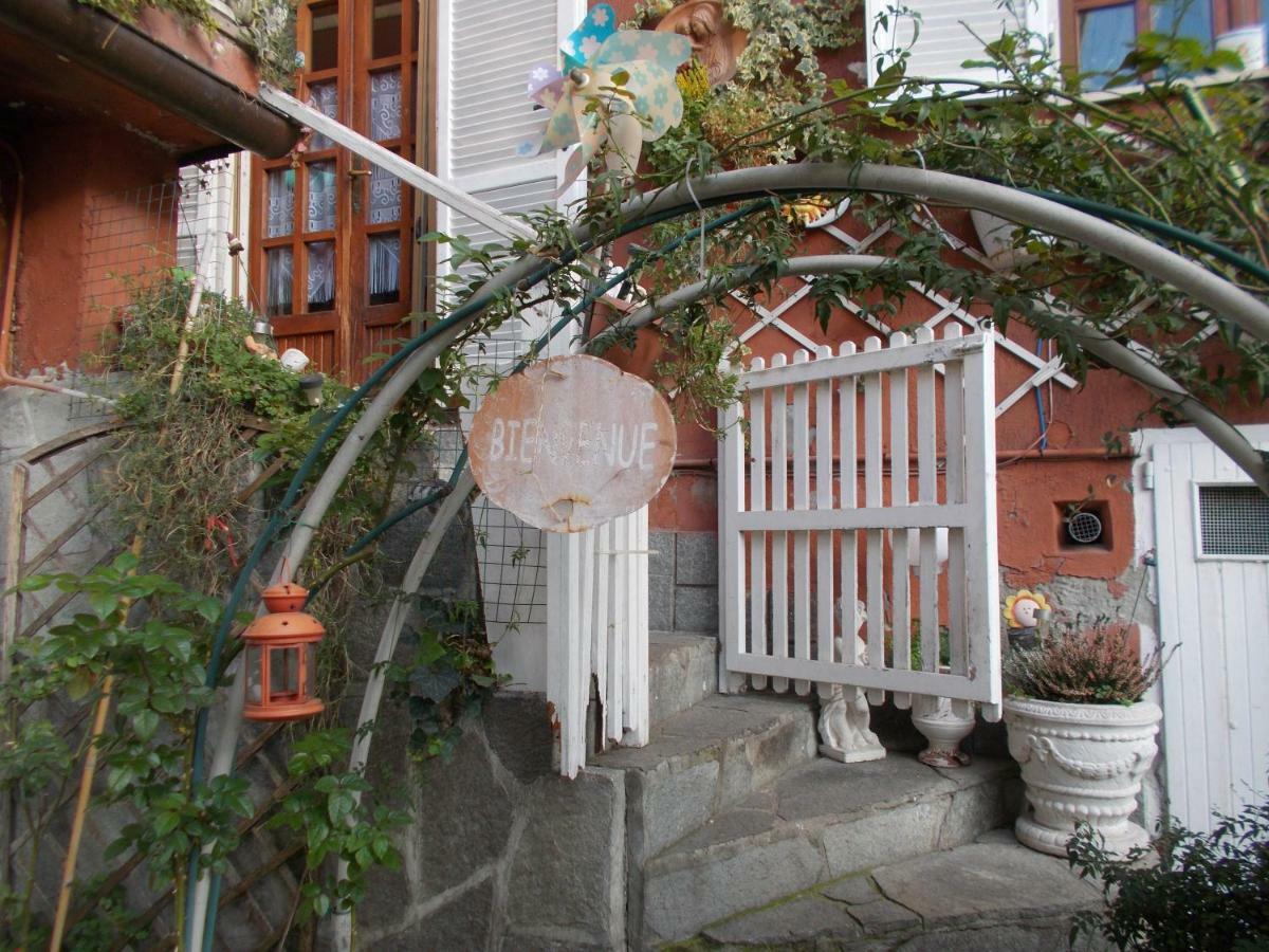 Il Granello Di Senape B&B Palazzo Canavese Luaran gambar